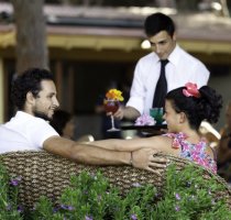 Horse Country Resort Congress & SPA Arborea